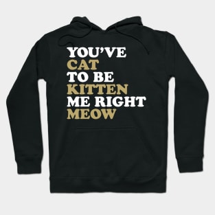 You've Cat to be Kitten me Right Meow Hoodie